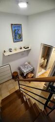 Emerald Hill Conservation Area (D9), Apartment #478161571